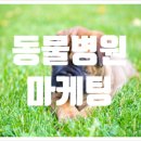 위너동물병원 이미지