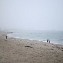 바라던바다 이미지