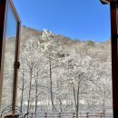 곰배령마루 | 홍천숙소 삼봉자연휴양림 한옥지구 최대감 솔직 이용후기 | 강원도 한옥펜션