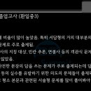 환일중학교 이미지