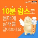 옷이날개다 이미지