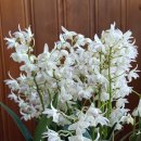 한아름홈쇼핑(주) 이미지