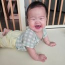 바른자세의 과학연구원 | 아기크림, 궁중비책 베이비 모이스처 크림 100시간보습 침독 예민피부 주목!!!