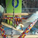 인천조류원 이미지