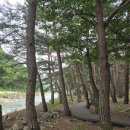 더존펜션 - 공주시 천장이길 8 | 더존펜션