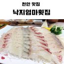 낙지엄마횟집