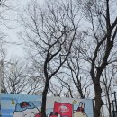 타운종합크리닝 | 엘지트윈스 lgtwins 잠실야구장 홈개막전 1루 레드 203블럭 시야 + 콜랩샵 헬로키티 콜라보 할인