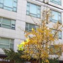 오금로35길 이미지