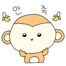 성완디자인