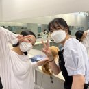 헤어마스터 - 군산시 | 헤어마스터