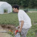 죄송함다 피디님 ft.삼시세끼(3) 이미지