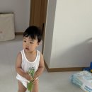 분당삼평-D-14 | 육아일기 | D+423 ~ 429 ❤︎ ( 14개월 아기와 두번째 여름, 위례 베이비온더풀 방문후기 )