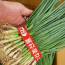 블랙야채