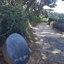 경문태양광 | '삼릉 가는 길'... 삼존불에서 경애왕릉까지 짧은 탐방