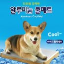 이츠펫(광혜원점) 이미지