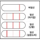 원포쓰리