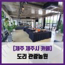 [제주 제주시 카페] 도리 관광농원 - #내돈내산 도리카페 아메리카노 솔직 리뷰 후기