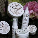 스폰지캐럿 이미지