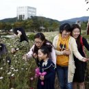 엑스포공원 이미지