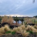 여미지식물원 이미지