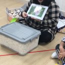 햇살퍼포먼스