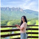 전일카 | 고성 델피노 소노펠리체 룸 소개, 울산바위 뷰 인피니트 풀, 더엠브로시아 카 후기 공유