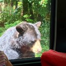 오월드1 | [대전] 가볼만한곳 ‘대전오월드’ 1편 - 아프리카 사파리 후기 &amp; 소요시간 &amp; 자리 추천