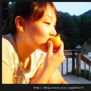 양평로그캠프 이미지