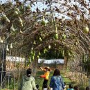 아름1농장 이미지