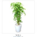이삼성학원