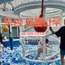은하어린이집 | [서울형키즈카페 시립 뚝섬 자벌레점] 엄마보다 잘 노는 4살 은하의 주말 방문기! 예약·주차·가는방법