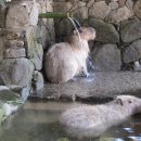 바이오파크 네이버블로그