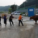 축사 이미지