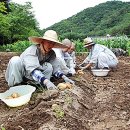 하늘땅바람 이미지