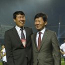 월드컵차차차