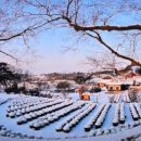 명재목장 이미지