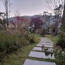촌닭산오리 | 영동군 계산리에서 스테인레스 촘촘망 으로 망갈이.화단에 강아지가 못들어가게 철망 설치 후기.