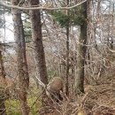 지리산 성삼재 반야봉 뱀사골 산햄 이미지