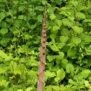 너머마을민박 이미지