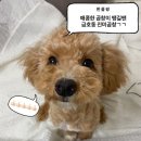 장터진미 | [금호동 곱창 맛집] 노포 감성 가득한 매콤한 곱창 맛집! 진미곱창 리얼 후기