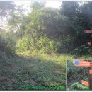 읍내리 - 우 이미지