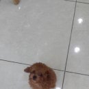 망미동물병원 이미지