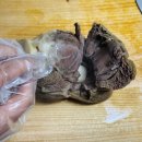 주식회사 해동 이미지