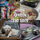 프라임 호프 | 봄기운이 스며든 3월, 소박한 나의 일상 모음