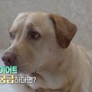 종례농장 이미지