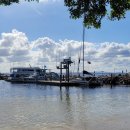 뉴디에스팜(주) | 베이 돌핀 크루즈, 해안사구 모래썰매, Murray 와이너리 코스 (지그재그투어) 비추천 솔직 후기 (0.5 Star)