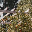 대거노래연습장 이미지