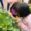 명문유치원 이미지