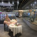 큰마음동물메디컬센터 이미지