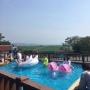 순천만쉼표 이미지